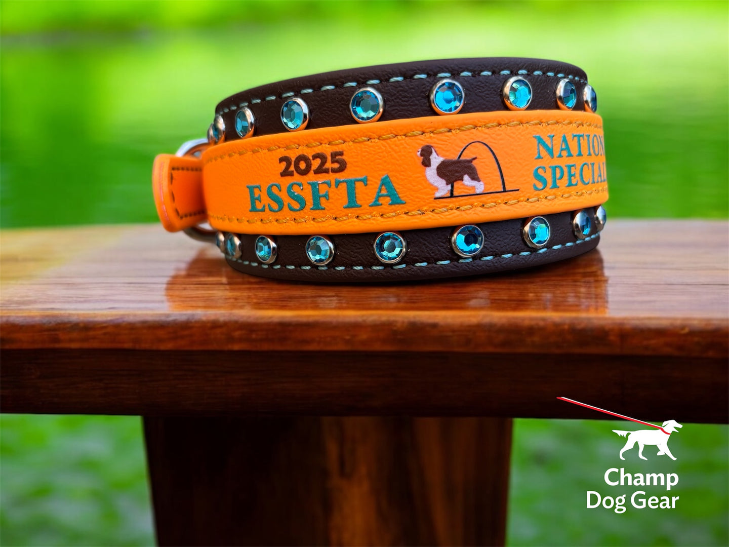 C. 2" ESSFTA Collar - 2025 BioThane® Collar